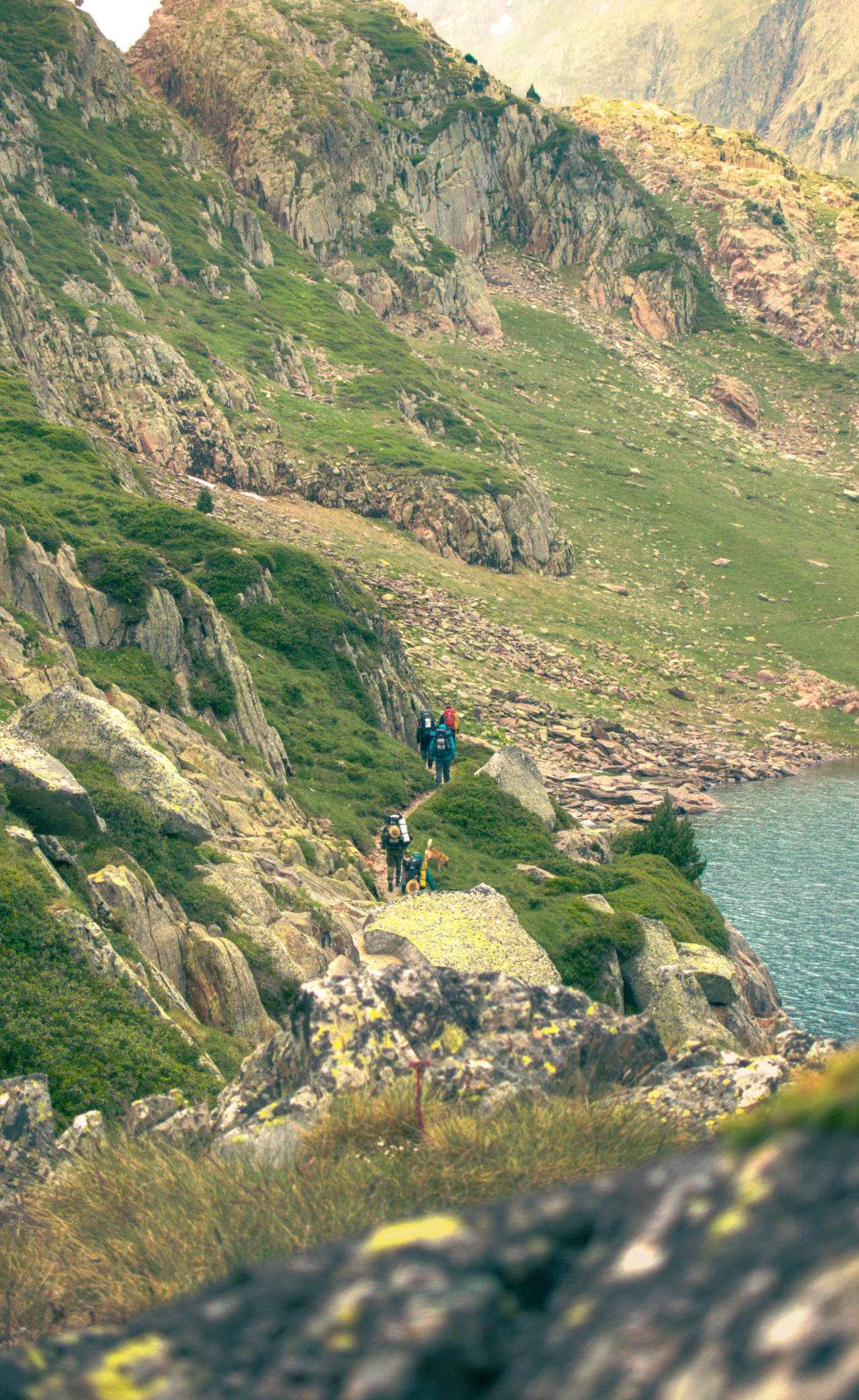 Gear Built for Every Trail