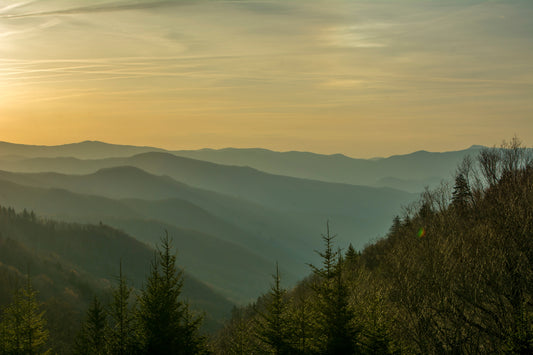 Layered blue ridges at sunrise from Oconaluftee Valley Overlook, Great Smoky Mountains