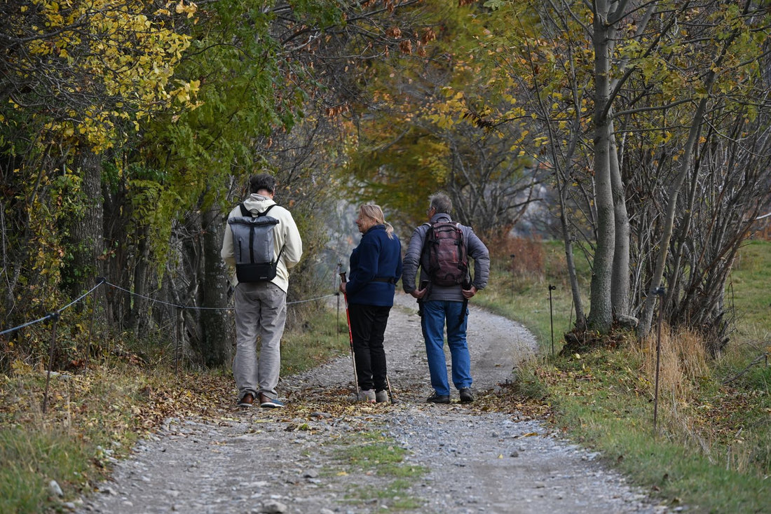 Three hikers in layers walking a fall forest trail