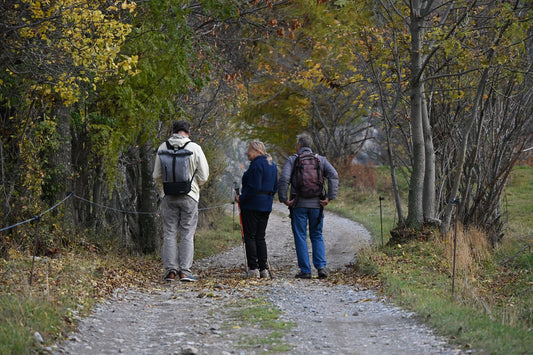 Three hikers in layers walking a fall forest trail