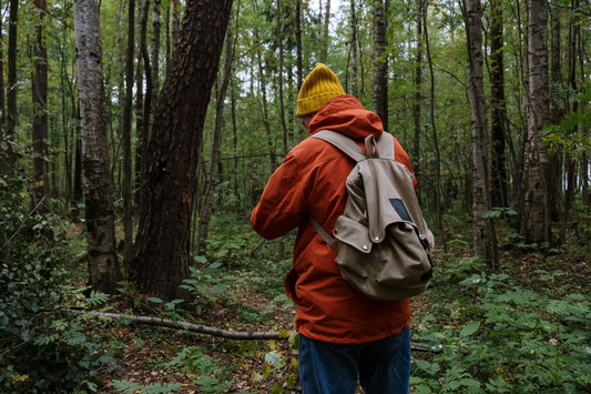 Hiker in a bright orange jacket on a forest trail in fall
