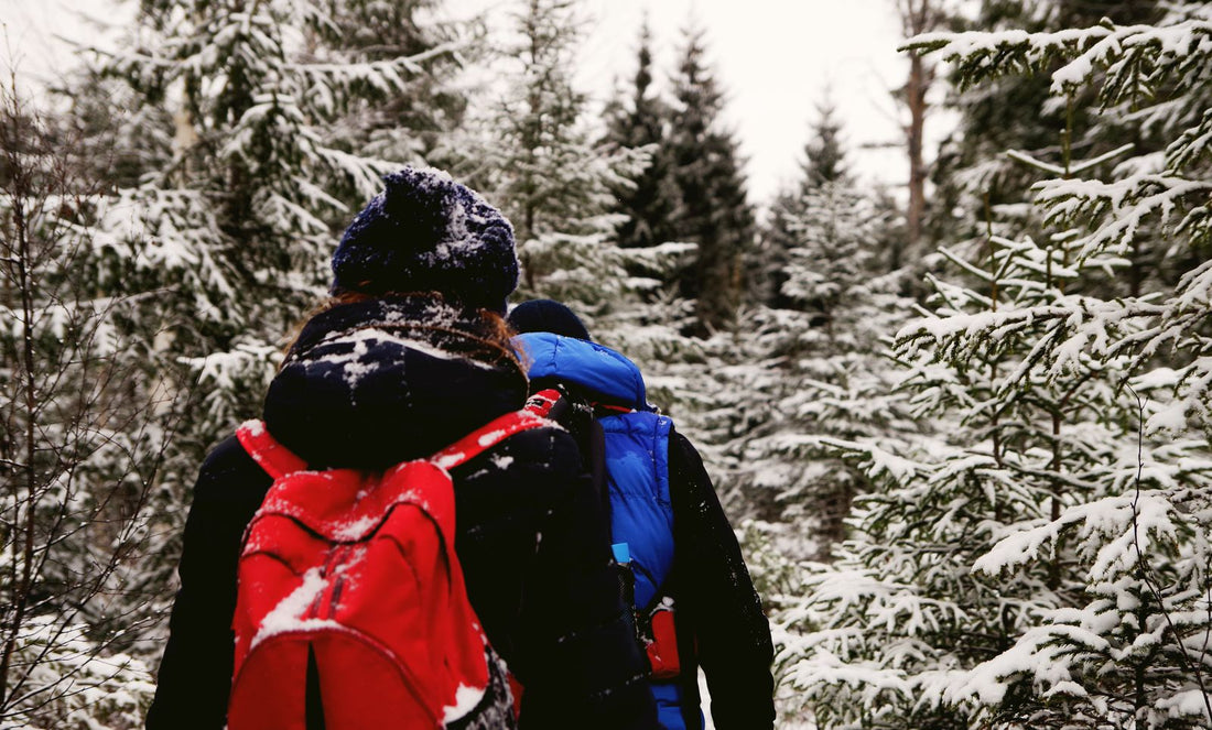 Two hikers with backpacks walking a snowy forest trail in winter