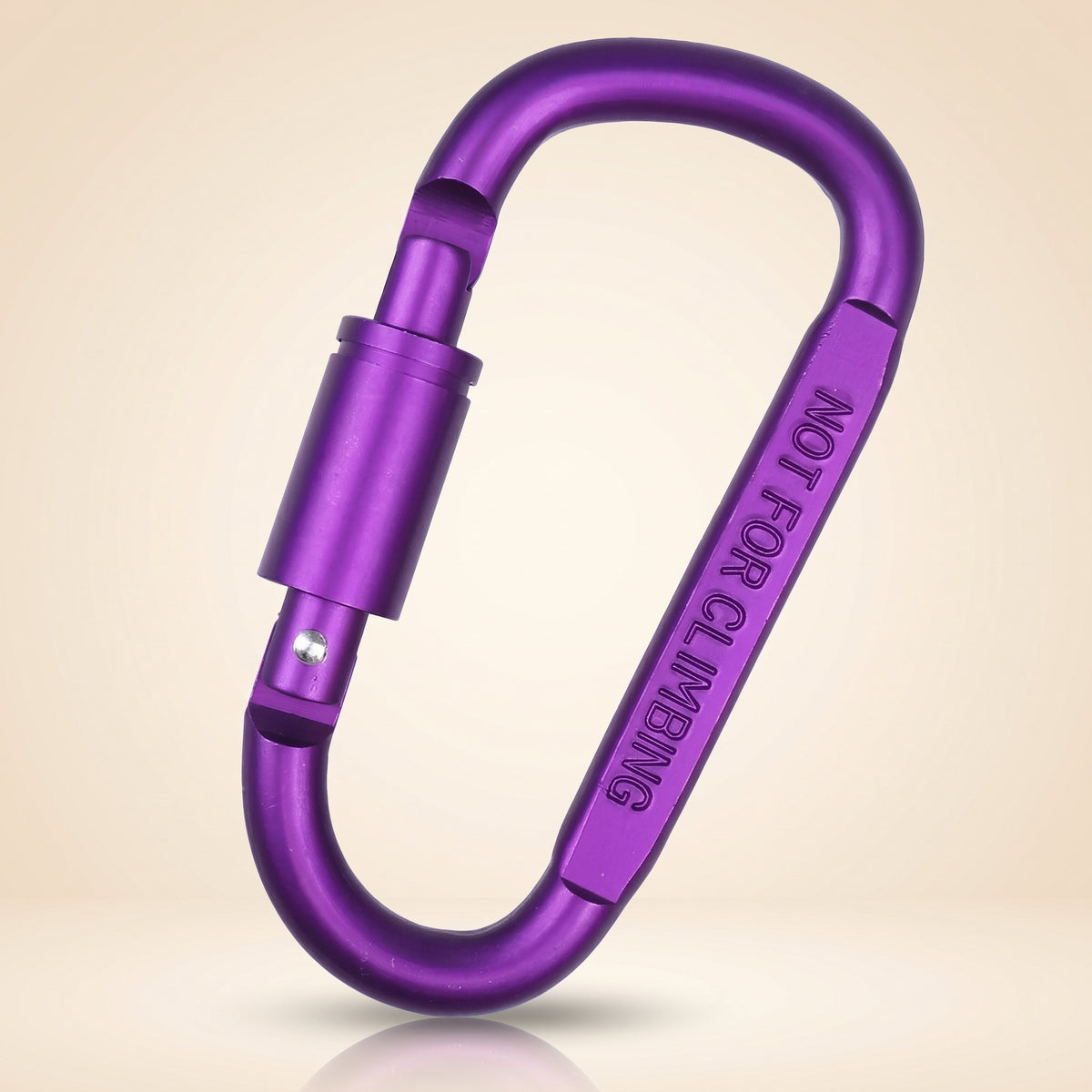 D-Shape Carabiner Clip — 80mm Aluminium